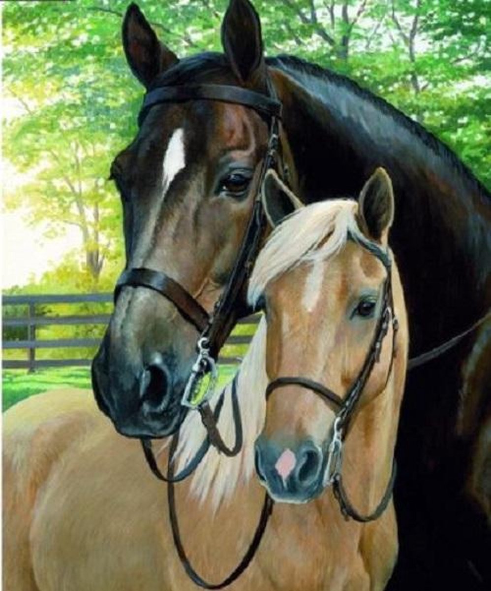 Knuffelende Paarden - Diamond Painting - 20x15cm - Complete Set - Inclusief Tools - Vierkante Diamantjes - Stipco