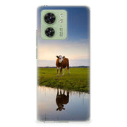 Motorola Edge 40 | TPU Hoesje | Koe