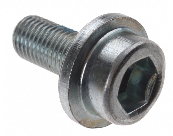 crankbout trapas M8 x 19 mm zilver per stuk