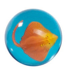 Stuiterbal Zeedieren: Rog 45 mm