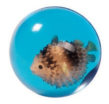 Stuiterbal Zeedieren: Stekelbaars 45 mm