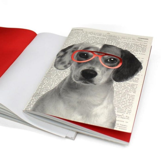 schrift jackrussel 12x17 cm