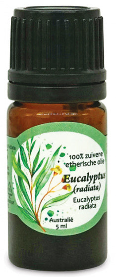 etherische olie Eucalyptus Radiata 5 ml vegan