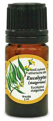 etherische olie Eucalyptus Staigeriana 5 ml vegan