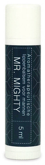 lippenbalsem Mr. Mighty heren 5 ml vegan blauw/wit