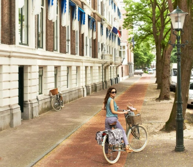 Dorset fietsmand voor 40 liter grijs - 13051