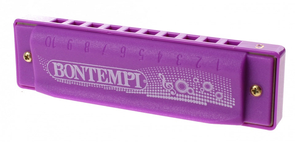 mondharmonica in opbergdoos 10 tonen 10 cm paars