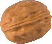 gum Walnoot 4 x 3 cm junior bruin
