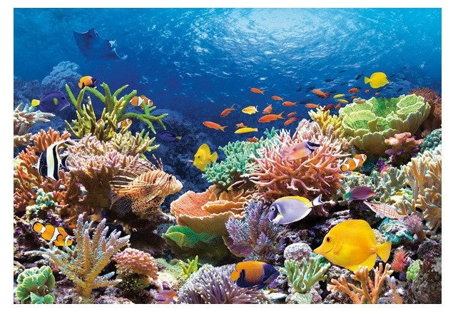 legpuzzel Coral Reef Fishes 1000 stukjes