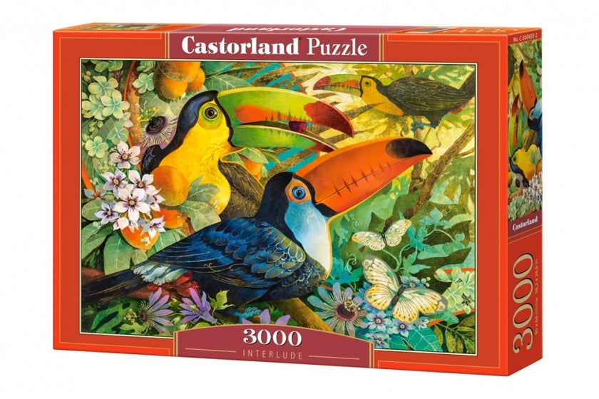 legpuzzel Interlude 3000 stukjes