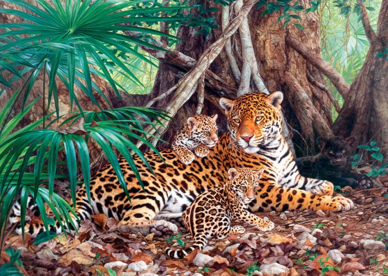 legpuzzel Jaguars in the Jungle 3000 stukjes
