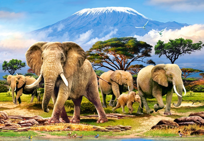 legpuzzel Kilimanjaro Morning 1000 stukjes