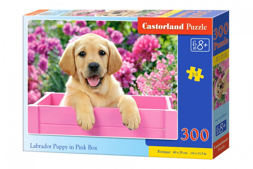 legpuzzel Labrador Puppy in Pink Box 300 stukjes