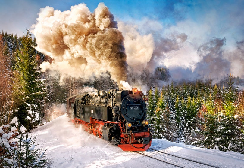 legpuzzel Steam Train 1000 stukjes