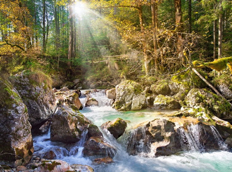legpuzzel The Forest Stream 2000 stukjes