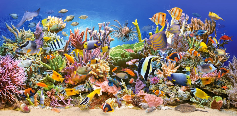 legpuzzel Underwater Life 4000 stukjes