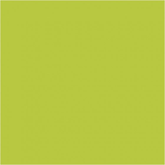 modelleerklei 56 gram lime (601)