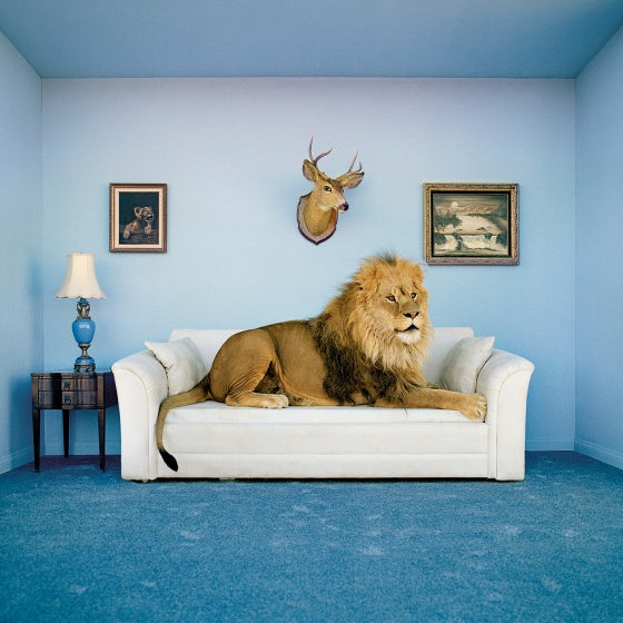 legpuzzel Frame Me Up - Master of the House 250 stukjes