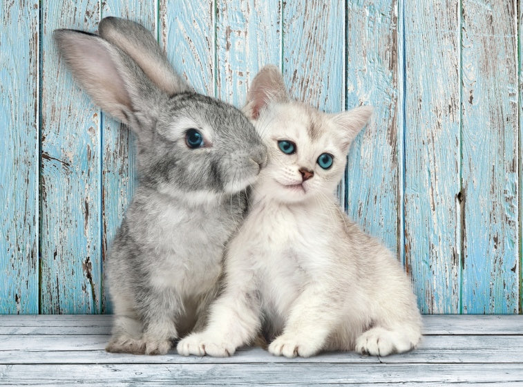 legpuzzel High Quality Cat&Bunny 500 stukjes