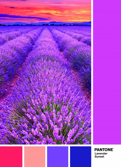 legpuzzel Pantone Vivid Viola 1000 stukjes