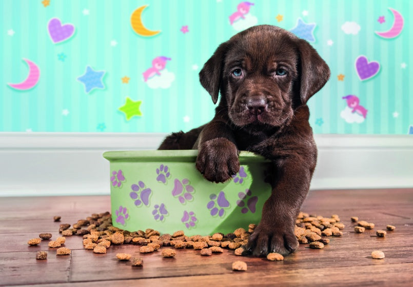 supercolor puppy legpuzzel 180 stukjes