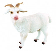 Boerderijdieren: Bok 6