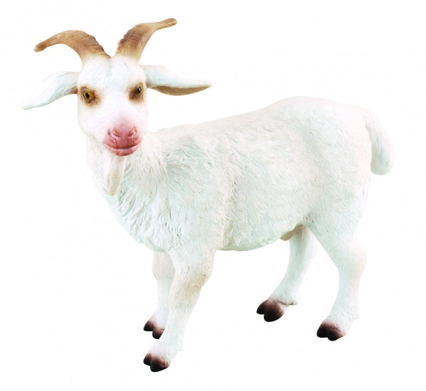 Boerderijdieren: Bok 6
