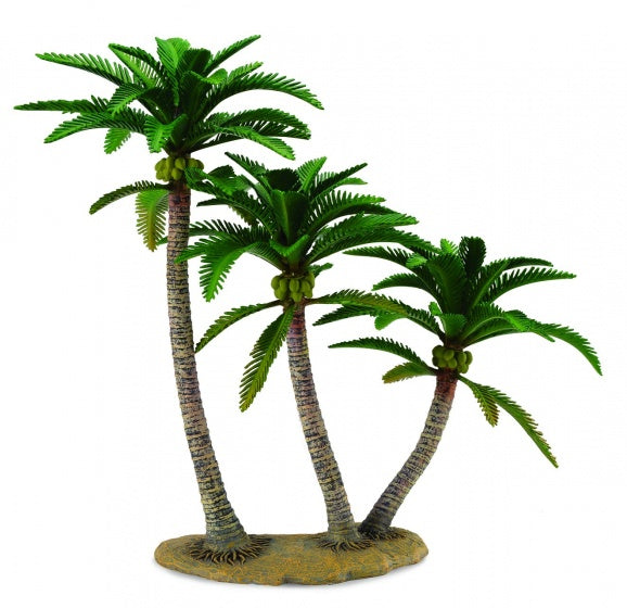 bomen: Coconut Palm 29