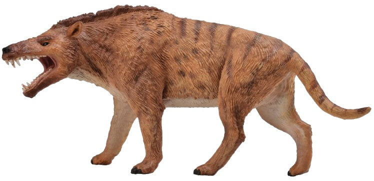 dinosaurus prehistorie Andrewsarchus 19