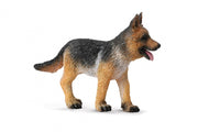 honden: Duitse herdershond 6