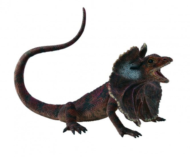 Insecten: Kraaghagedis 16