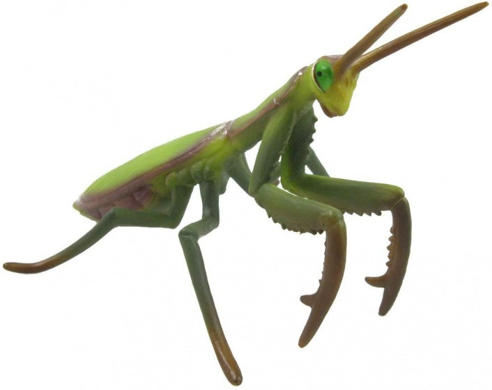 insecten: speelset in giftverpakking 3-delig spin