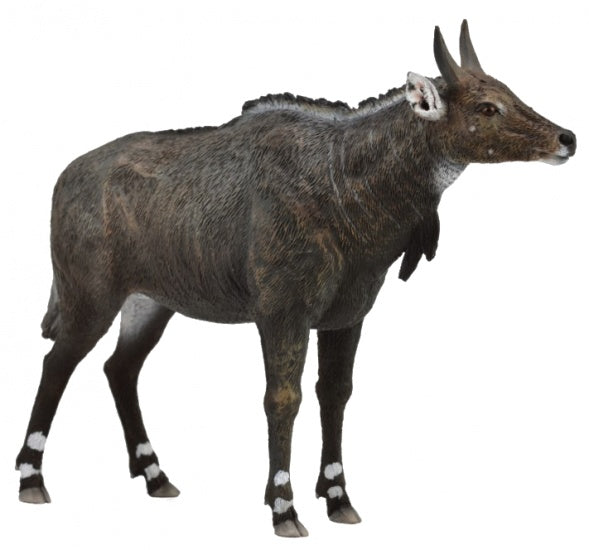 nijlgau 10