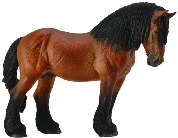 paard Ardenner Hengst 16