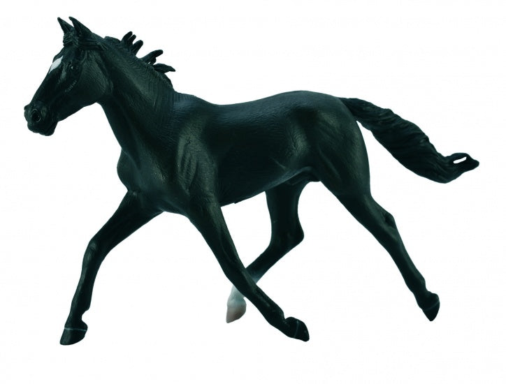 Paarden Hengst Zwart18