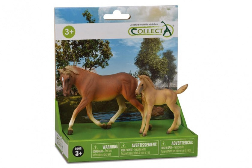 paarden: speelset in giftverpakking 2-delig bruin