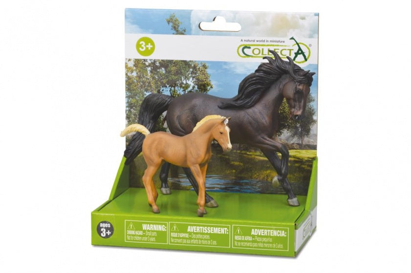 Paarden: speelset in giftverpakking 2-delig