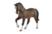 Paarden XL warmbloed hengst 14