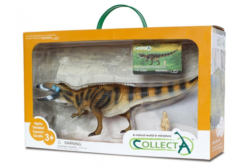 prehistorie: Carcharodontosaurus speelset 1:40 35 cm bruin