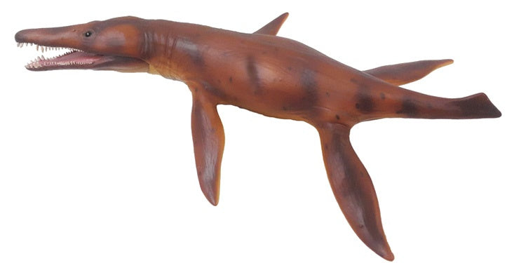 Prehistorie: Kronosaurus 31 x 6 cm
