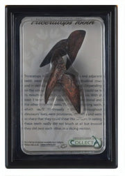 prehistorie: tand van Triceratops 11