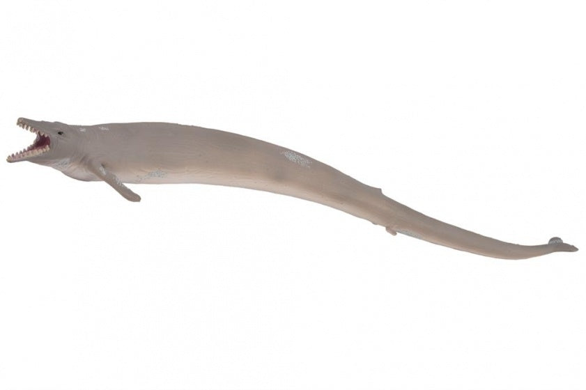 Prehistorie XL Basilosaurus 35