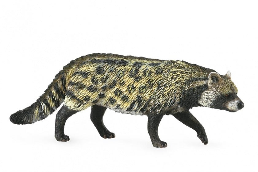 wilde dieren Afrikaanse civetkat 9
