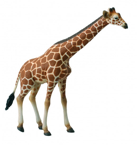 Wilde Dieren Giraf 15.5 x 16.5 cm