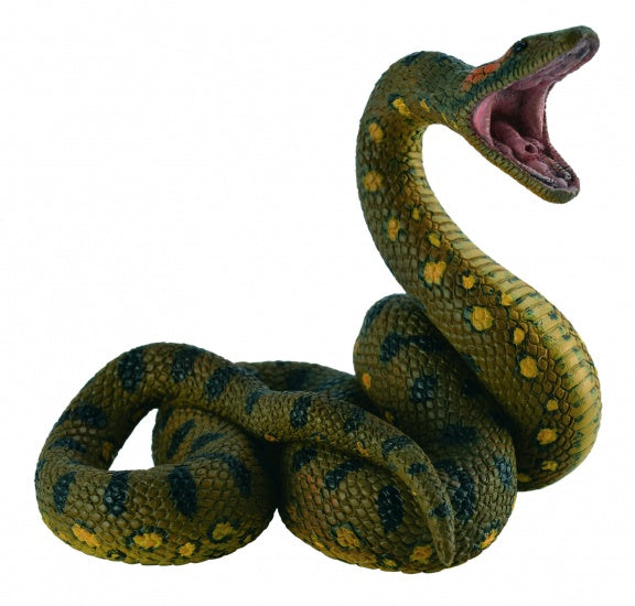Wilde Dieren: Anaconda 8