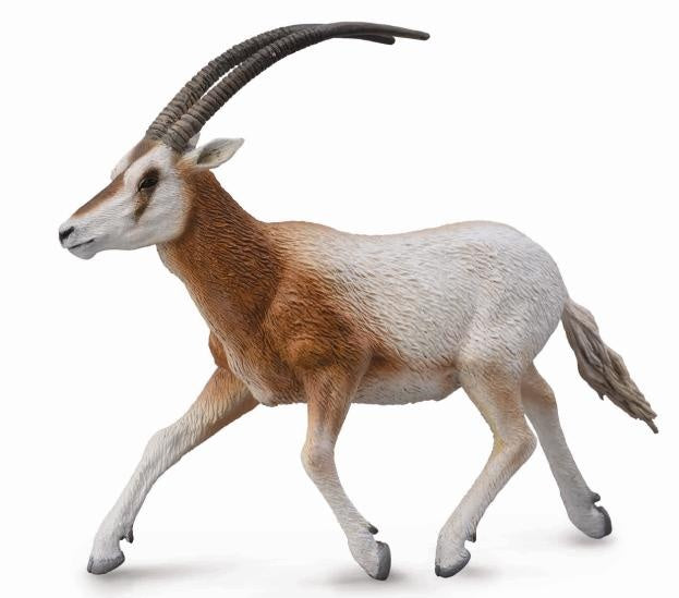 wilde dieren: sabelantilope 12