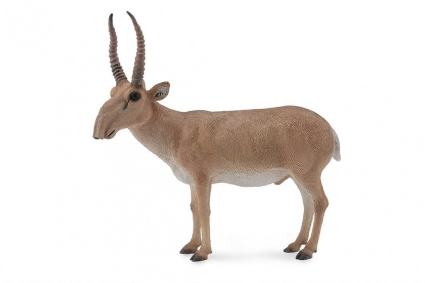 Wilde dieren Saiga-antilope 8