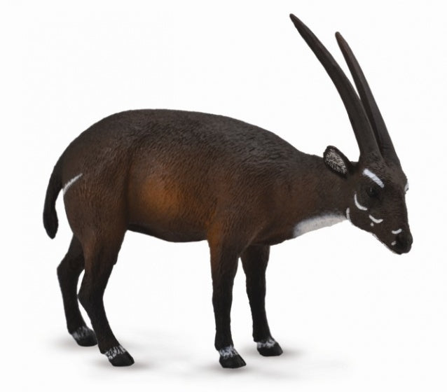 wilde dieren: saola 8