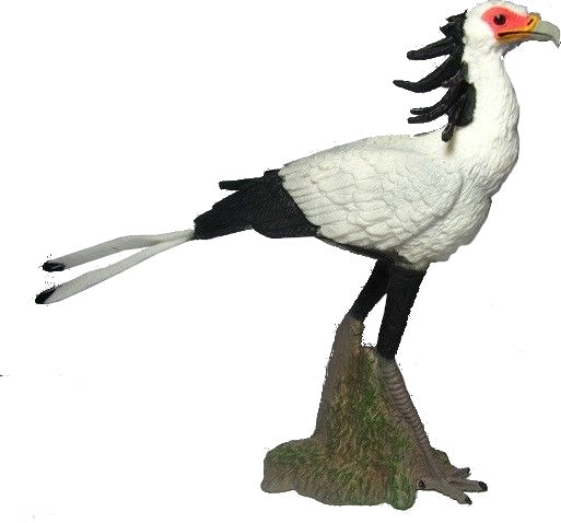Wilde dieren secretarisvogel 11