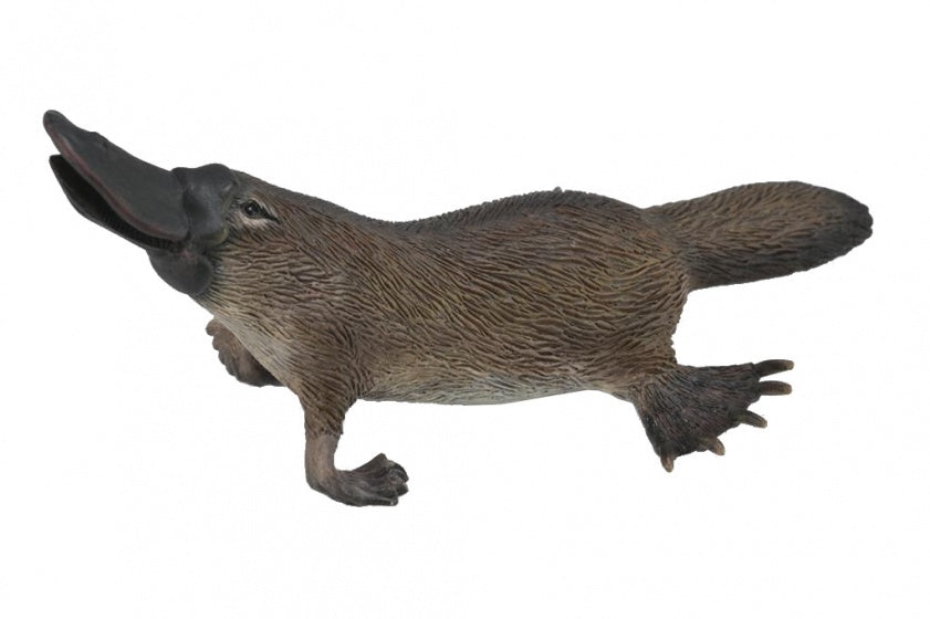 Wilde dieren vogelbekdier 9 cm